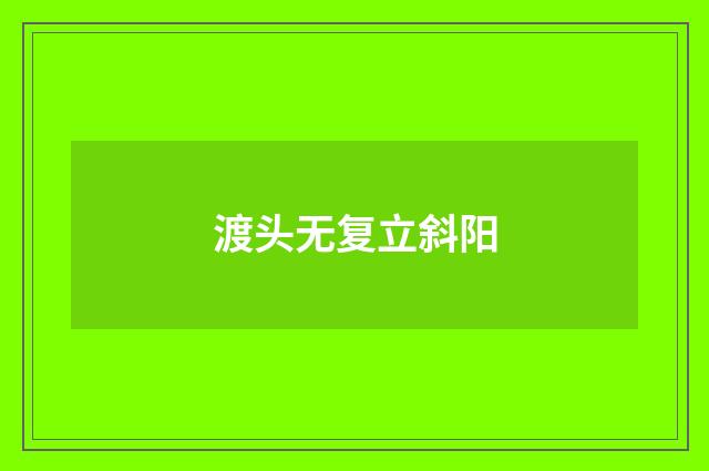 渡头无复立斜阳