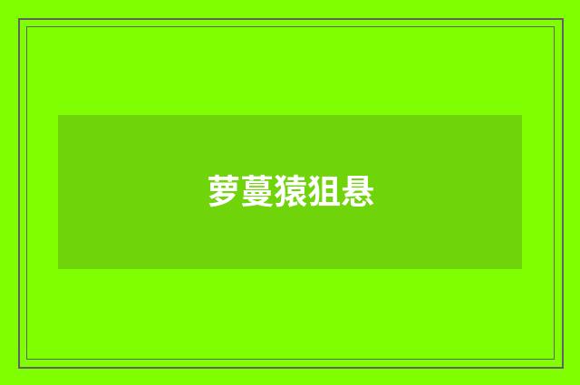萝蔓猿狙悬
