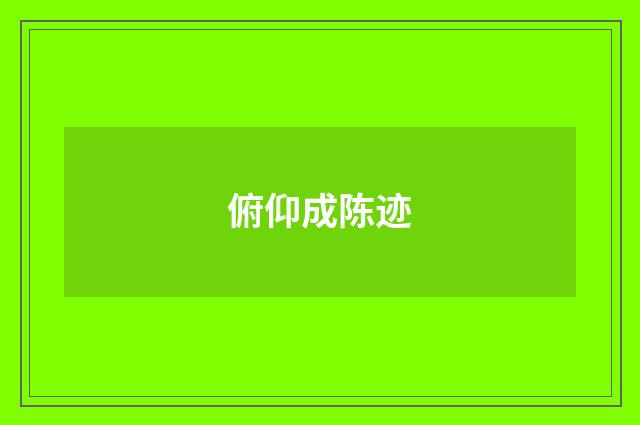 俯仰成陈迹