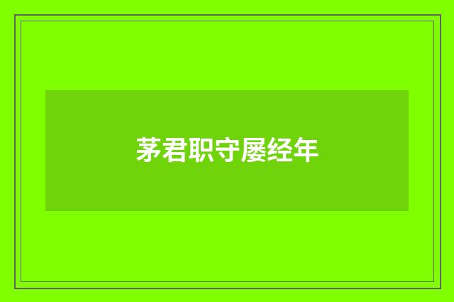 茅君职守屡经年