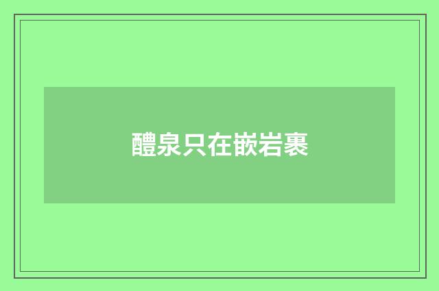 醴泉只在嵌岩裹