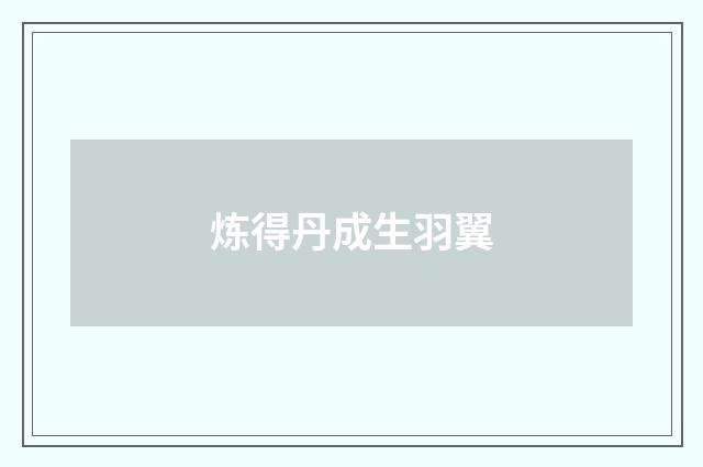 炼得丹成生羽翼