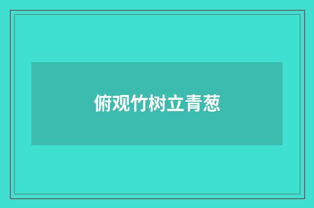 俯观竹树立青葱