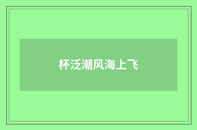 杯泛潮风海上飞