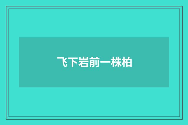 飞下岩前一株柏