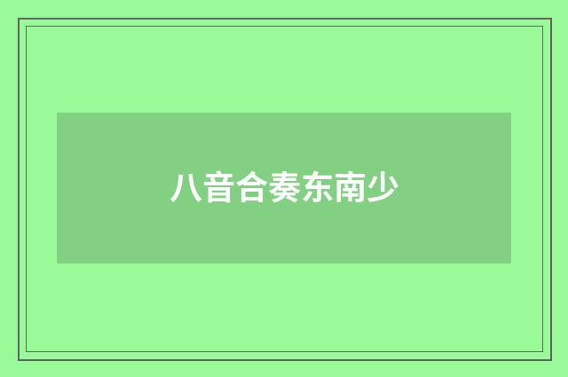 八音合奏东南少