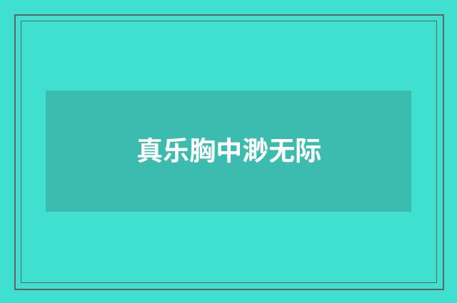 真乐胸中渺无际