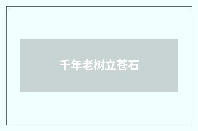 千年老树立苍石