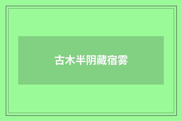 古木半阴藏宿雾