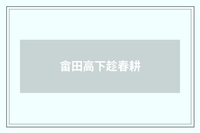 畲田高下趁春耕