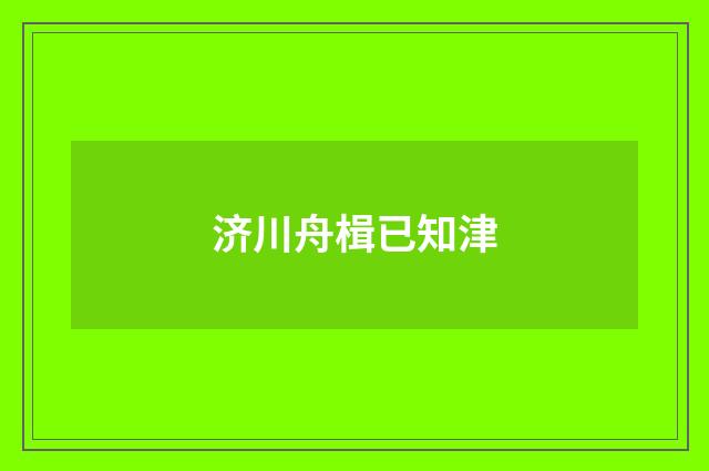 济川舟楫已知津