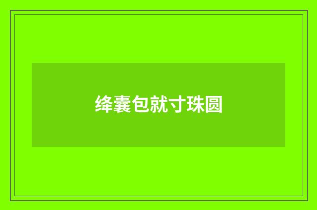 绛囊包就寸珠圆