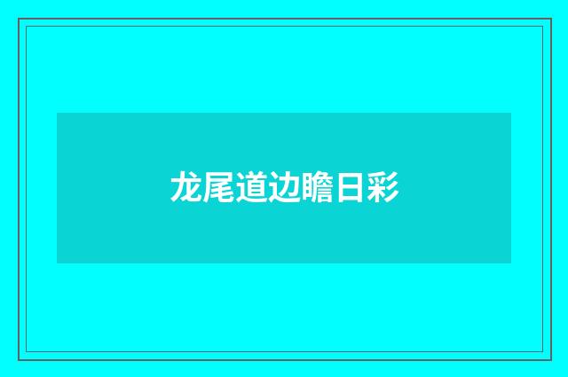 龙尾道边瞻日彩