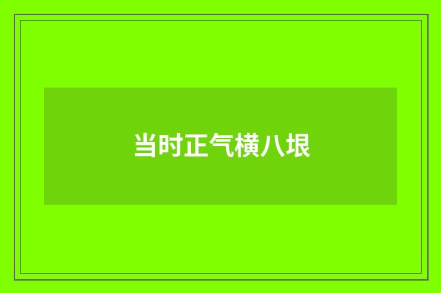 当时正气横八垠