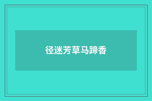 径迷芳草马蹄香