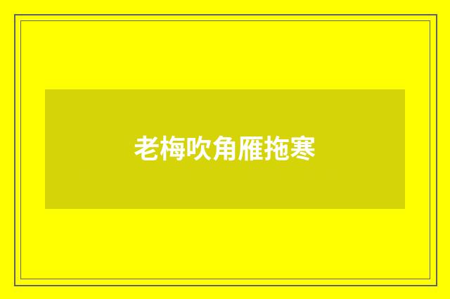 老梅吹角雁拖寒