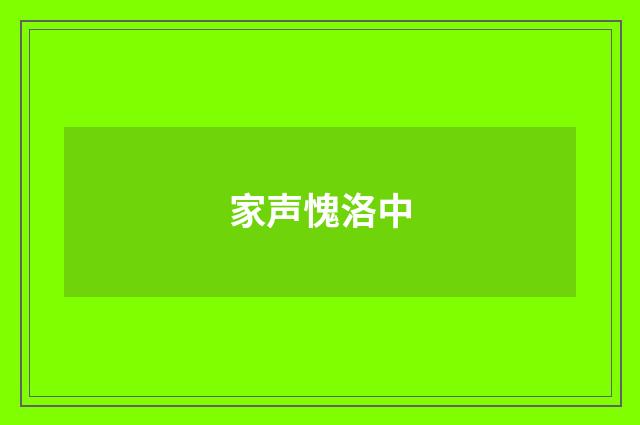 家声愧洛中
