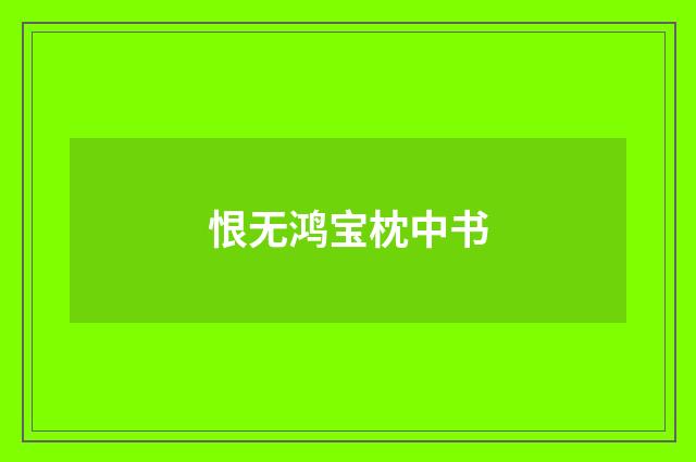 恨无鸿宝枕中书