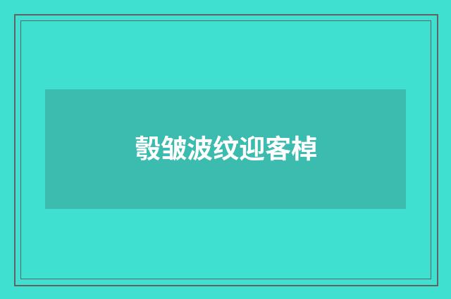 彀皱波纹迎客棹