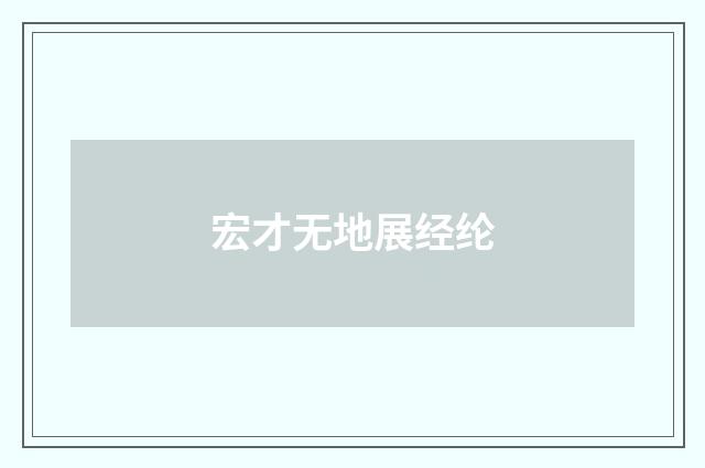 宏才无地展经纶