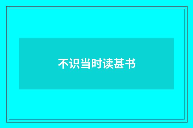 不识当时读甚书