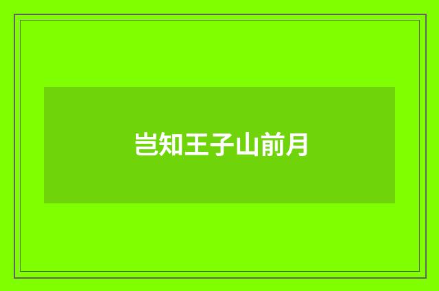 岂知王子山前月