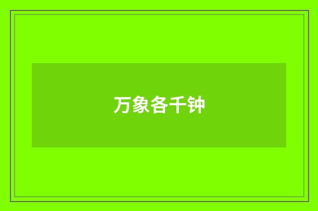 万象各千钟