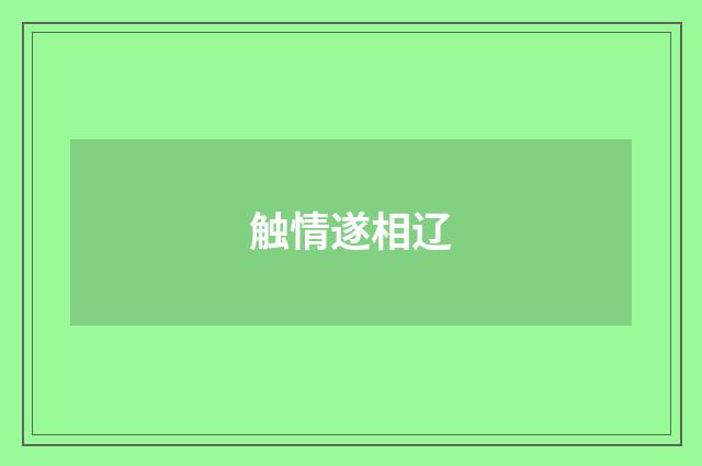 触情遂相辽