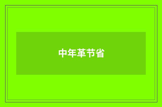中年革节省