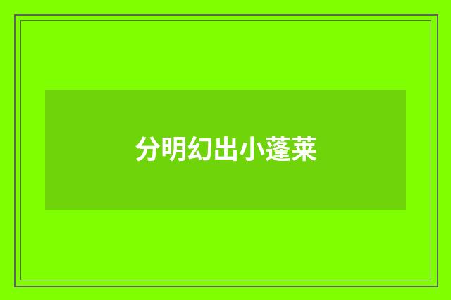 分明幻出小蓬莱