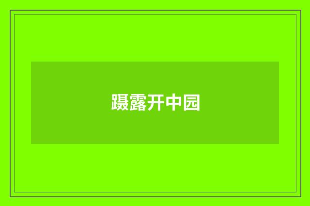 蹑露开中园