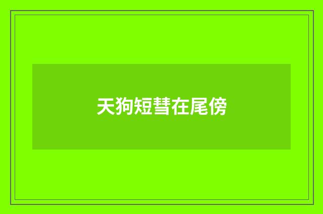 天狗短彗在尾傍