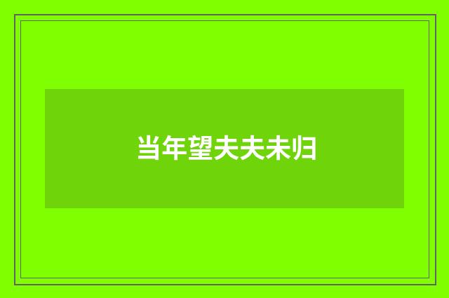 当年望夫夫未归