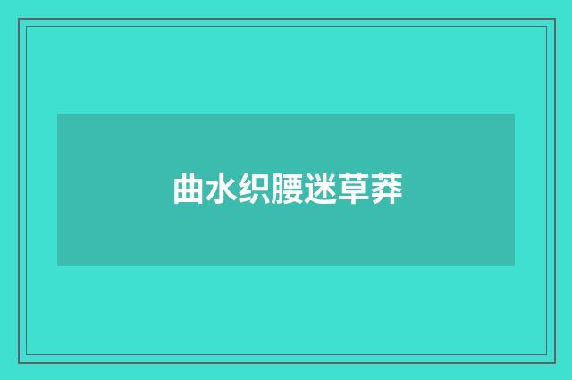 曲水织腰迷草莽
