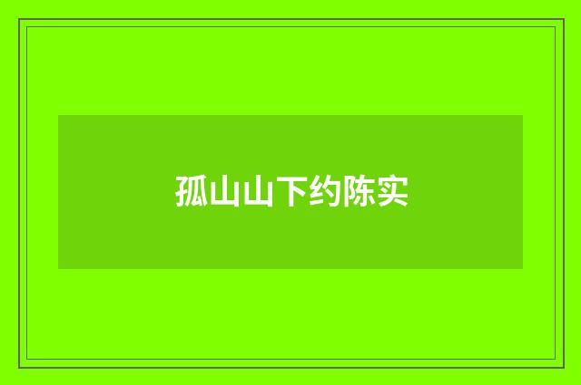孤山山下约陈实