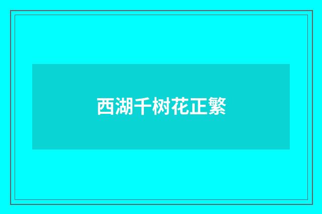 西湖千树花正繁