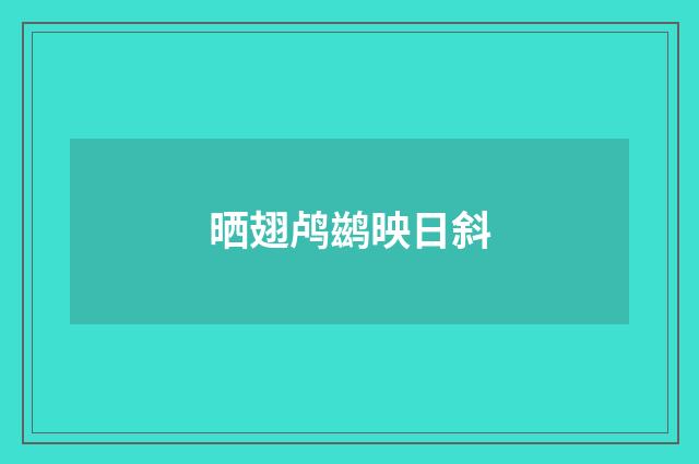 晒翅鸬鹚映日斜