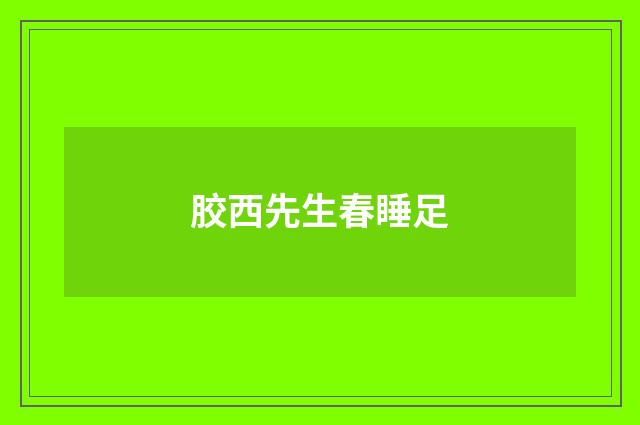 胶西先生春睡足