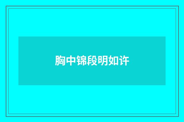 胸中锦段明如许