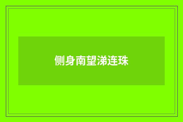 侧身南望涕连珠