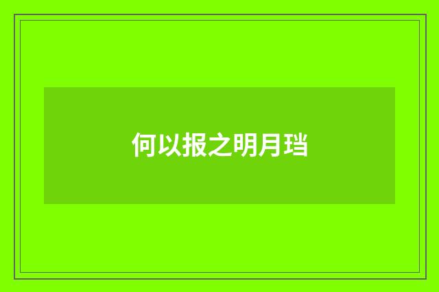 何以报之明月珰