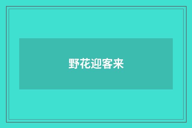 野花迎客来