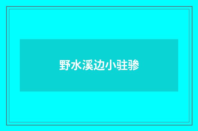 野水溪边小驻骖