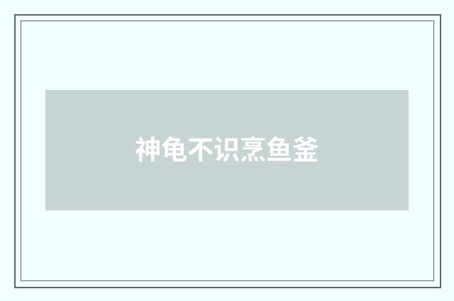 神龟不识烹鱼釜