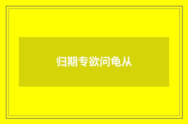 归期专欲问龟从