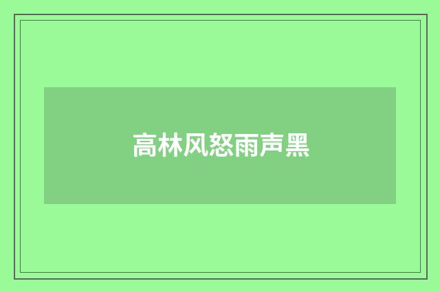 高林风怒雨声黑