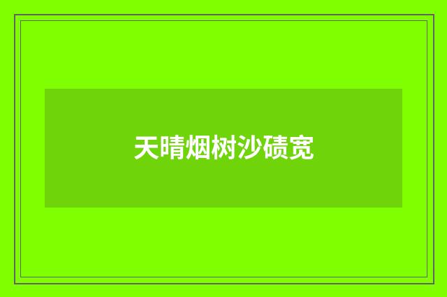 天晴烟树沙碛宽