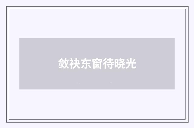敛袂东窗待晓光
