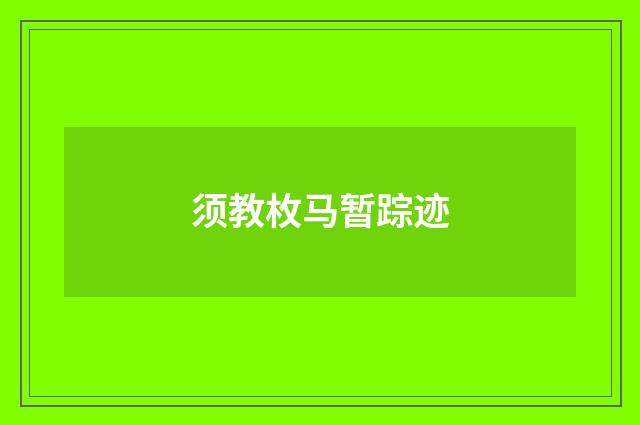 须教枚马暂踪迹