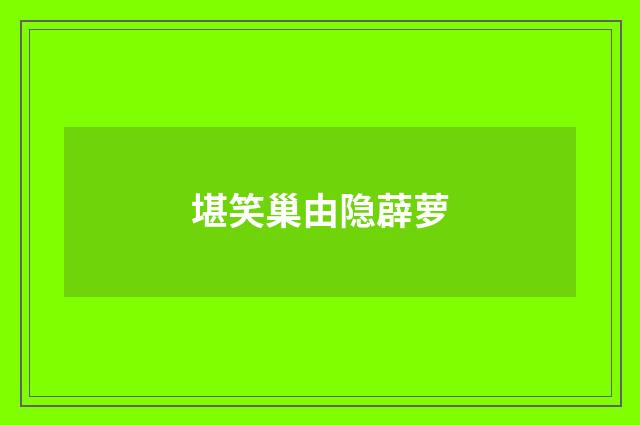 堪笑巢由隐薜萝